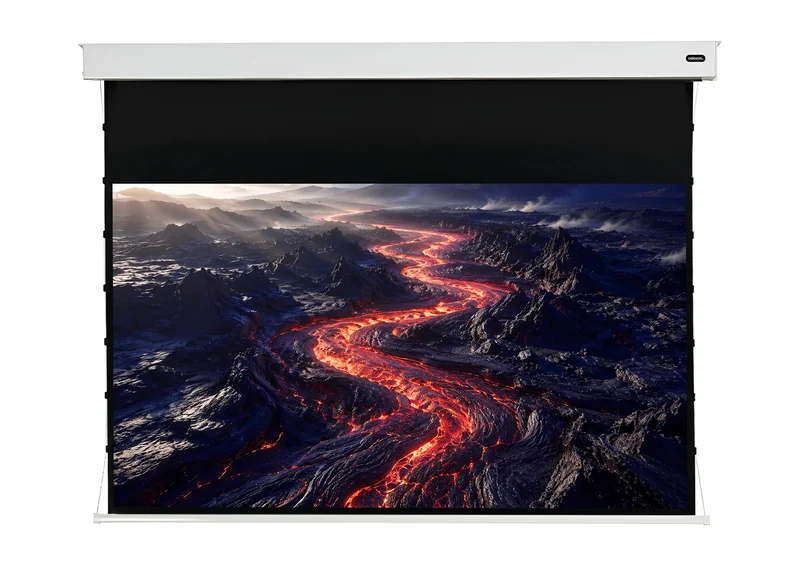 celexon Batterie Leinwand Motor Professional Plus Tension - Pearlstone