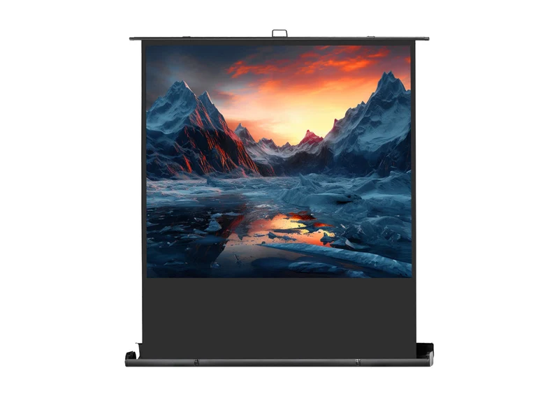 celexon Leinwand Ultramobil Professional Plus