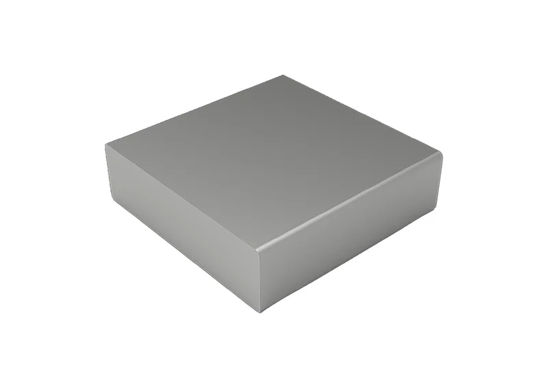 celexon Ausgleichsgewicht 0,8 kg für Pylonensystem Adjust-W