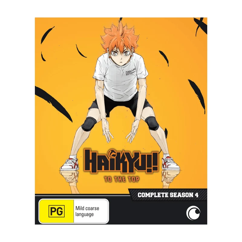 Haikyu!! - Complete Season 4
