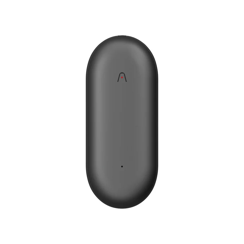 Plaud Note Pin