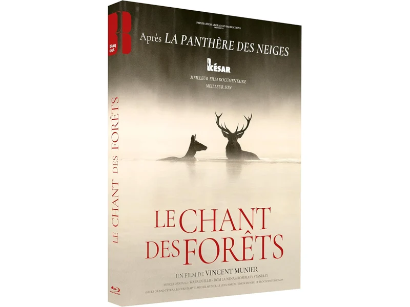 LE CHANT DES FORÊTS - COMBO BR + DVD