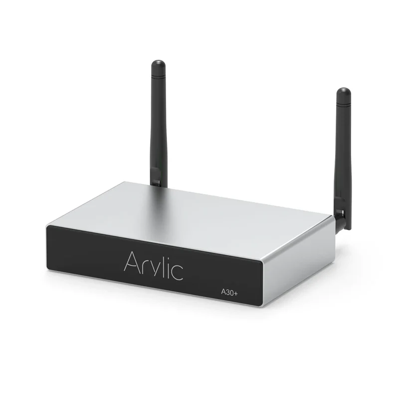 Arylic A30+