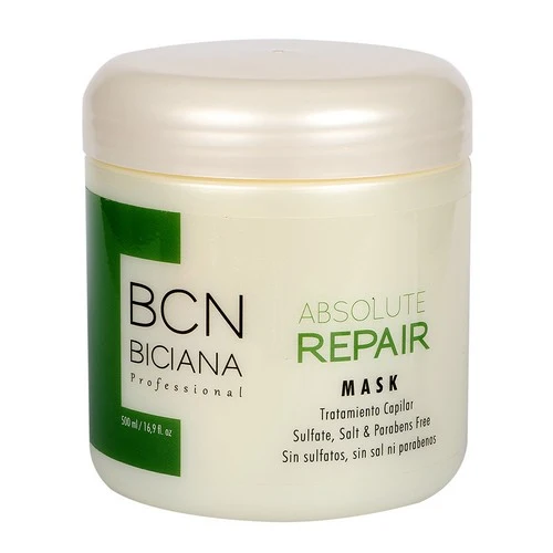 ABSOLUTE REPAIR MASK