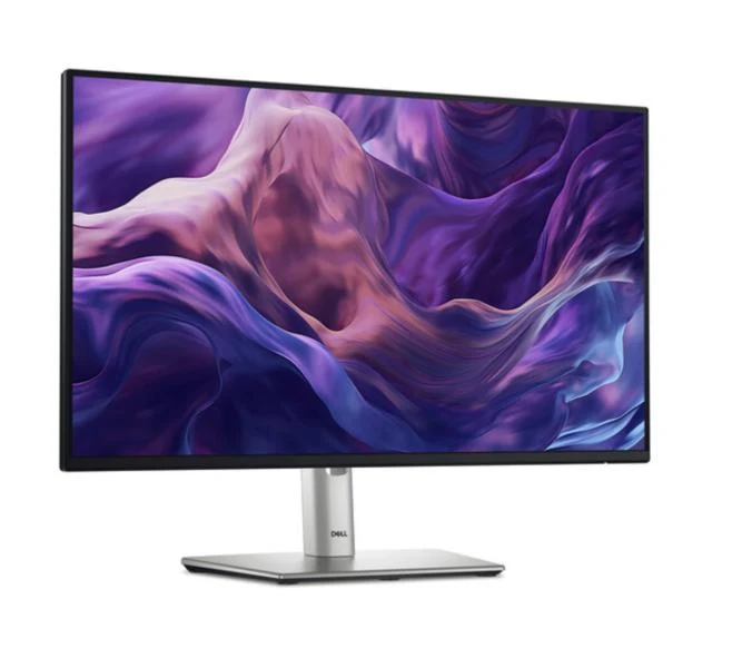 Monitor Dell P2425H 24" Full HD HDMI DisplayPort P2425H