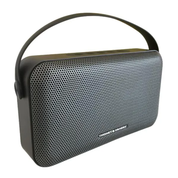 PARLANTE THONET & VANDER ZIEGEL 30W BLUETOOTH HK096-03652 GRIS
